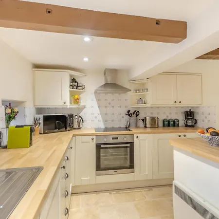 Squirrel - Greystoke